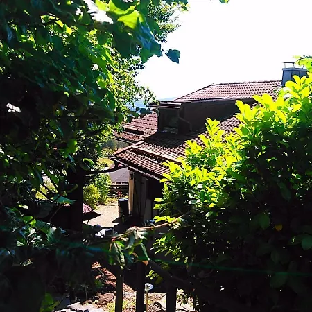 Ferienhaus 